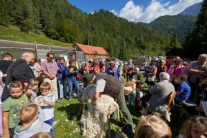 Festival Bicka 2016 230